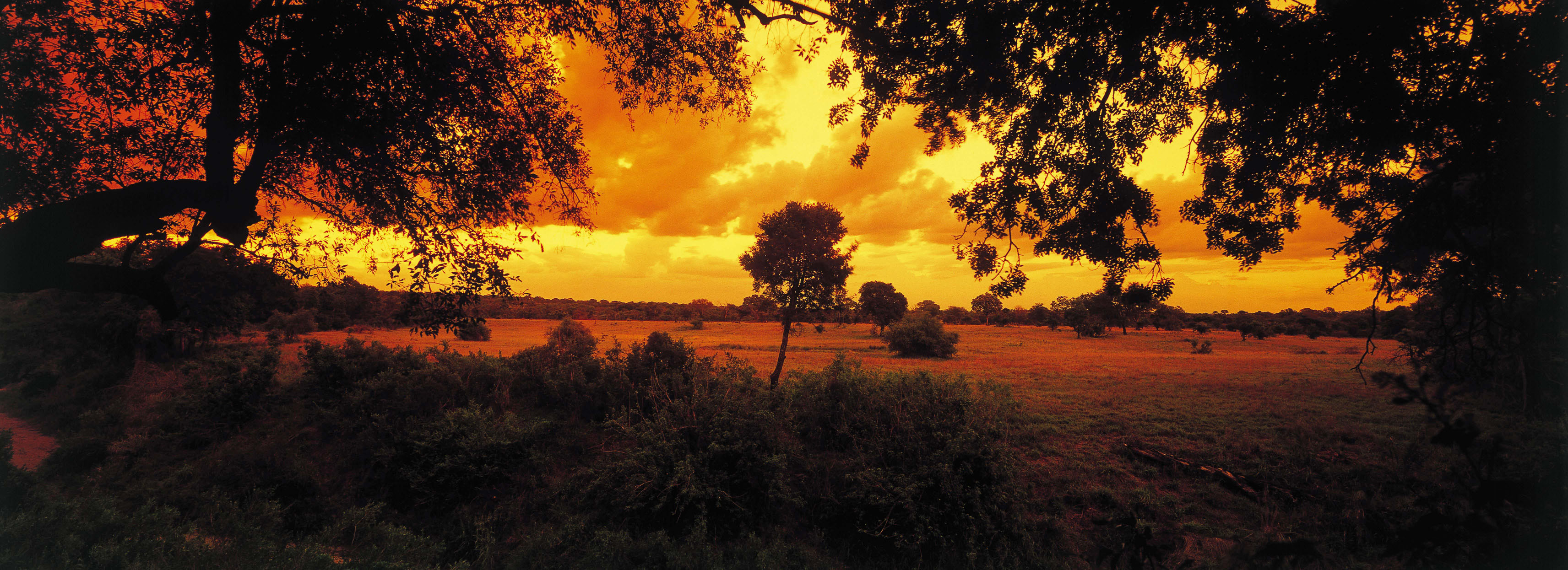 <p>Sabi Sabi Selati Camp offers a stunning view of the African savannah, surrounded by acacia trees and native vegetation. From the camp, you can see vast expanses of grassland stretching out in every direction, dotted with iconic African wildlife such as elephants, lions, zebras, and giraffes.</p>